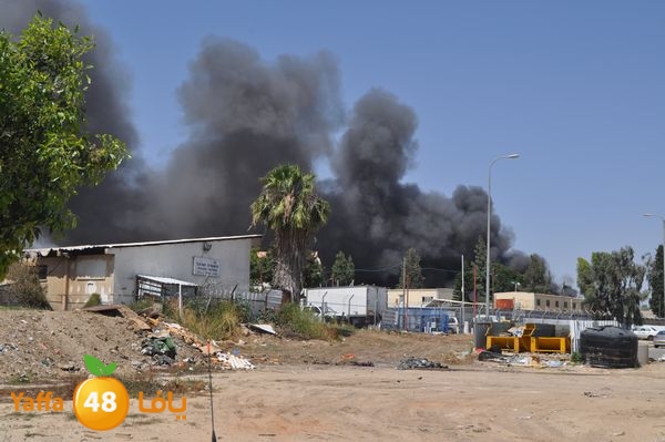 fireramlasejn4288 (44).JPG